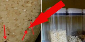 Господині розповіли, як легко та дуже швидко позбутися харчової молі