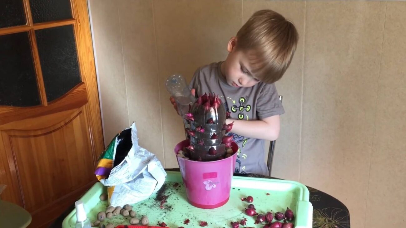 Садівники розповіли, як із користю використовувати стару пляшку вдома та на дачі