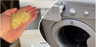 Господині розповіли, як швидко позбутися запаху та плісняви у пральній машині