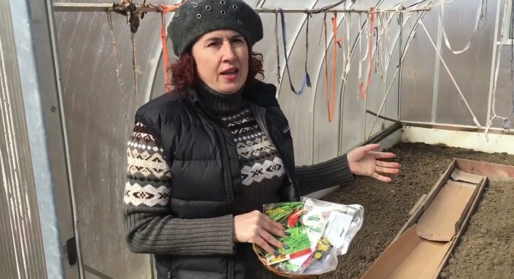 У березні висаджую в неопалювальну теплицю ці холодостійкі культури – у квітні збираю перший урожай на селі 