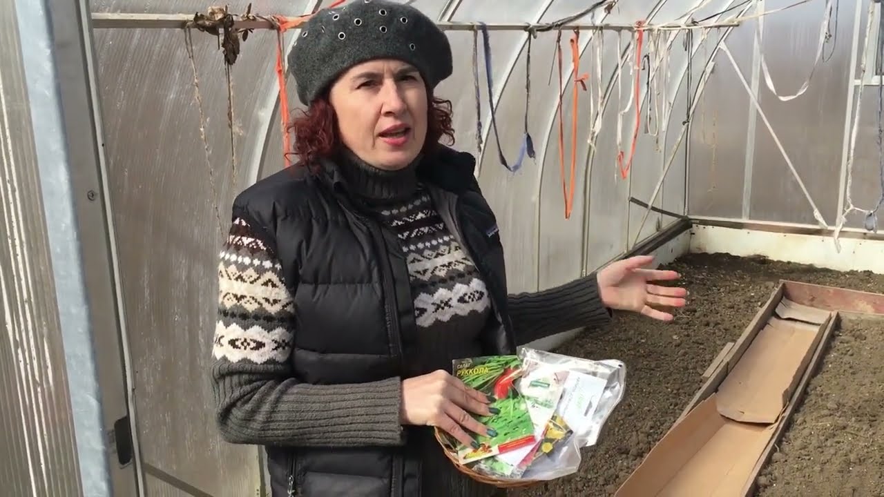 Городники розповіли, які культури варто посадити вже прямо зараз