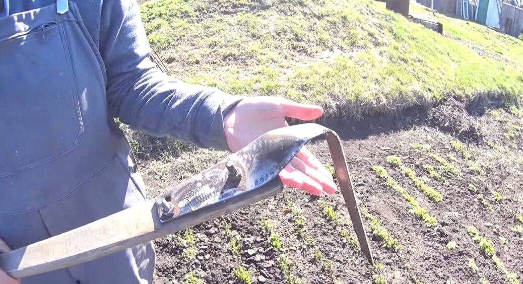 Викиньте старі сапки: плоскоріз Фокіна замінив мені весь інструмент – обробляю 10 соток городу миттю 