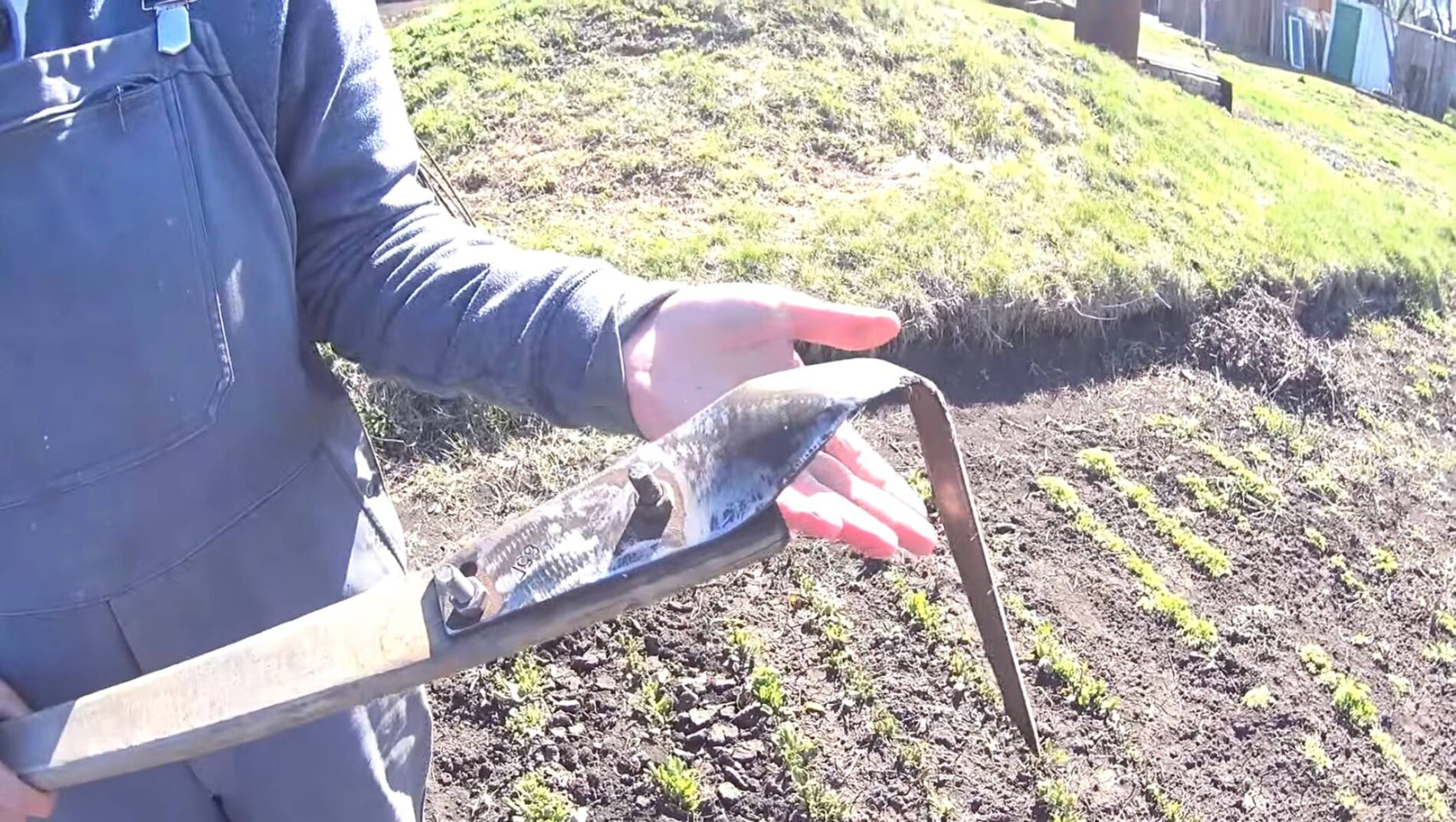 Городники розповіли про плюси використання плоскоріза Фокіна на дачній ділянці. Фото: YouTube Життя з нуля