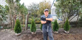 Ландшафтники розповіли, що посадити замість туї на ділянці. Фото: YouTube Наша дача!