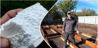 Городники розповіли, як зробити високі теплі грядки без великих витрат. Фото: YouTube Наша дача!