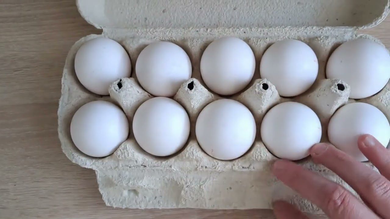 Кулінари розповіли, як насправді правильно варити курячі яйця. Фото: YouTube ТехноПроба