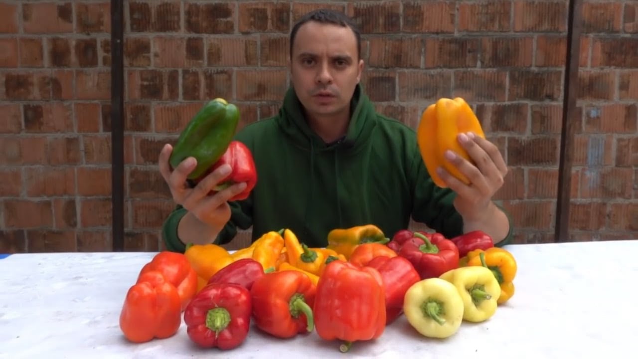 Городники назвали головні помилки, через які перець може не дати плодів. Фото: YouTube Зелена Планета
