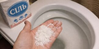 Досвідчені господині розповіли, чому потрібно солити воду в унітазі. Фото: Добрі новини