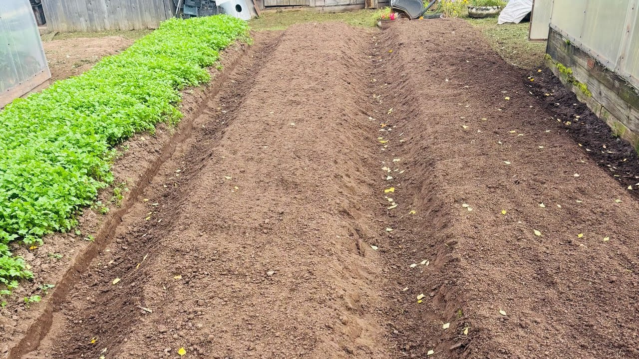 Експерти порадили, як зробити маркер для грядок із пластикових кришечок нашвидкуруч