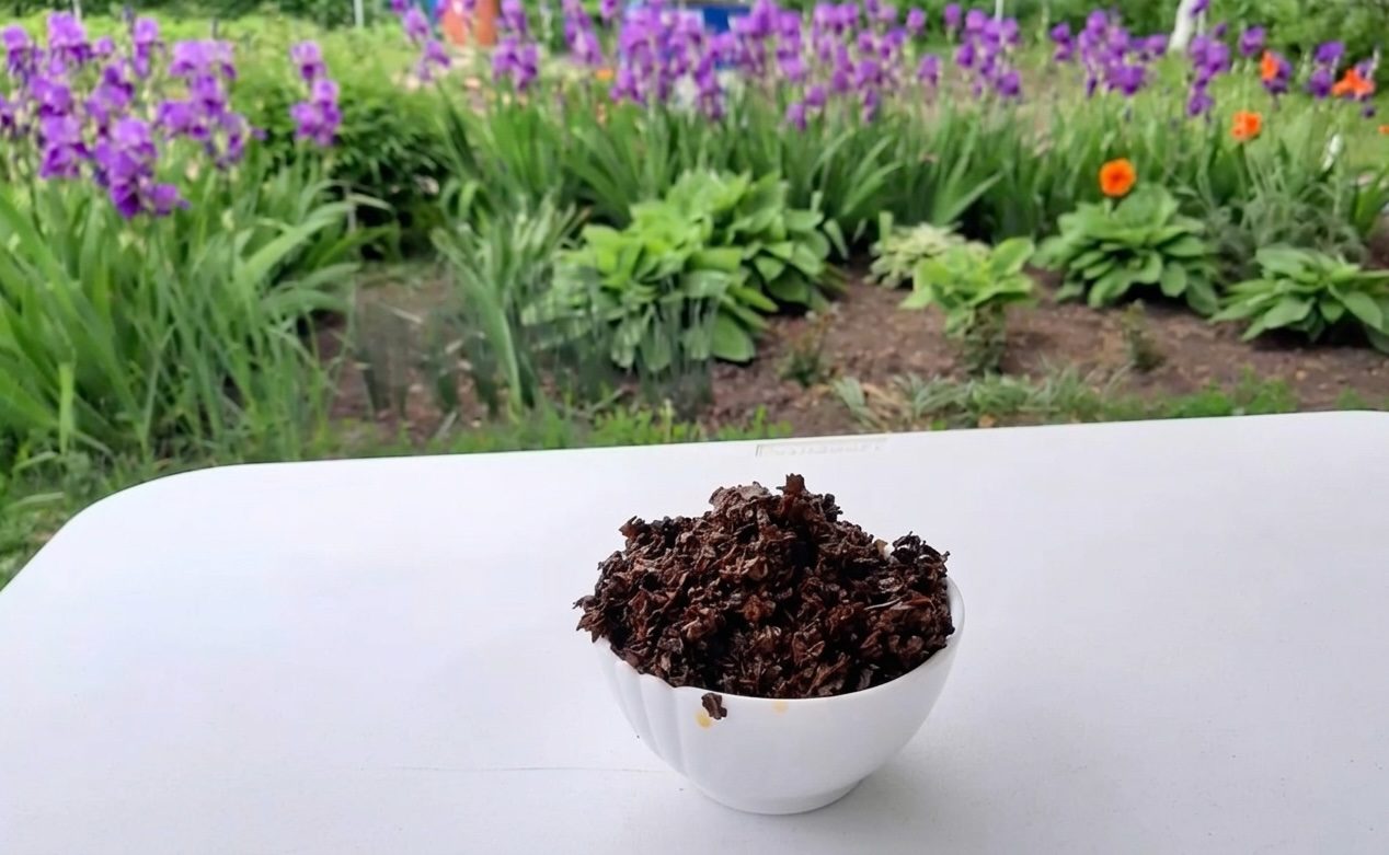 Городники розповіли, як використати чайну заварку на городі