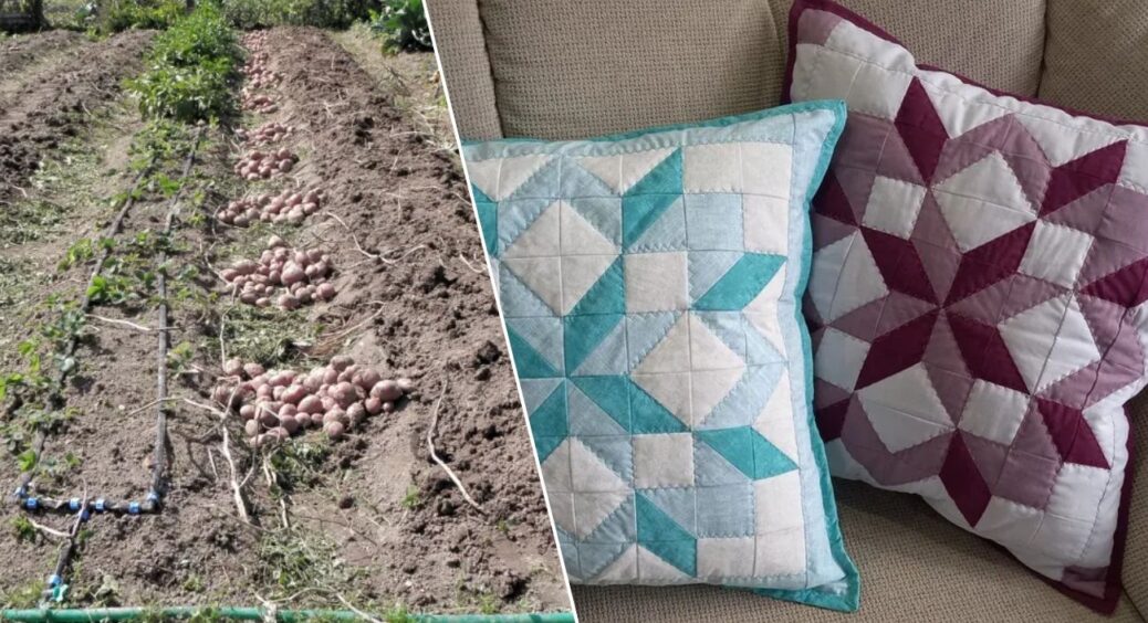 3 способи, як використовувати старі наволочки на дачі — не “дурниці”, а варіант зекономити купу грошей 