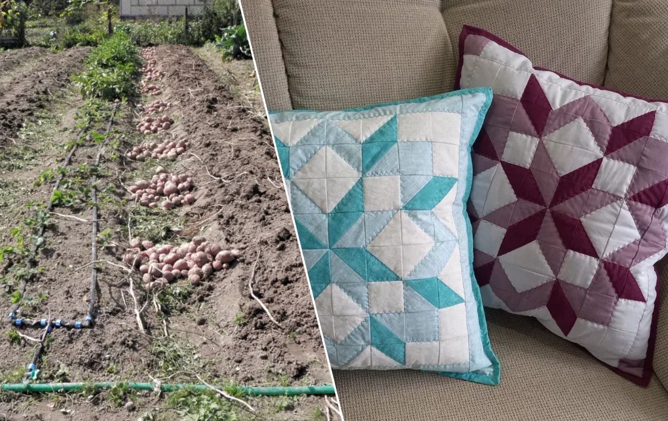 Як використовувати старі наволочки на городі