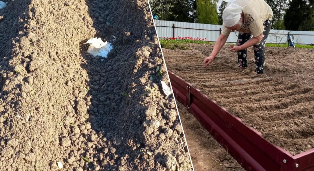 Беру пластикову кришку і роблю маркер для грядок, який не змивається: посадка займає у 3 рази менше часу 