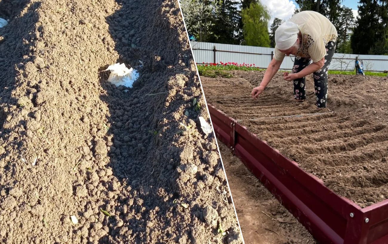 Як із пластикових кришок зробити маркер для грядок