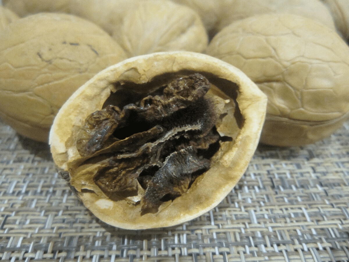 Експерти розповіли, як із залишків волоських горіхів приготувати копчені делікатеси — спосіб 