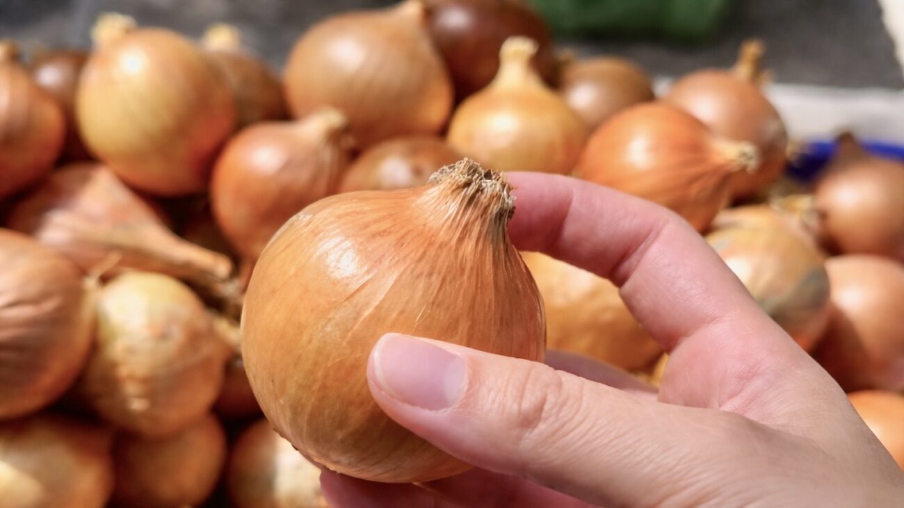 Городники розповіли особливості вирощування цибулі у цьому сезон. Фото: Добрі новини