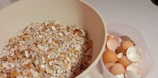 Користь яєчної шкаралупи на городі. Фото: YouTube Вирощування рослин