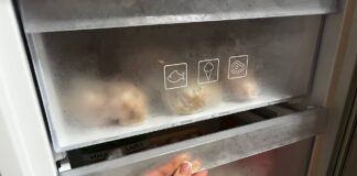 Господині розповіли, які продукти, окрім мʼяса та овочів, можна заморожувати