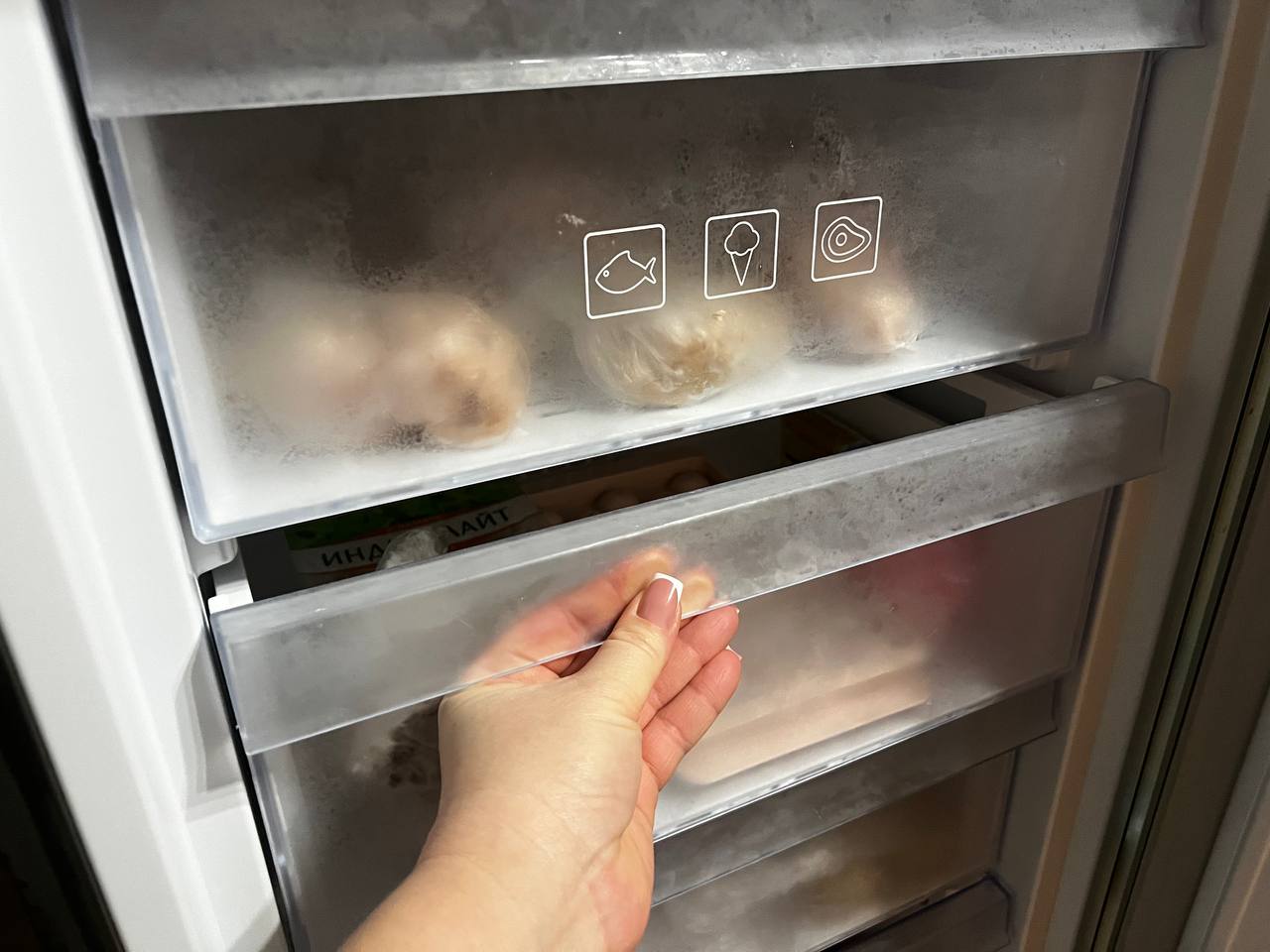 Господині розповіли, які продукти, окрім мʼяса та овочів, можна заморожувати