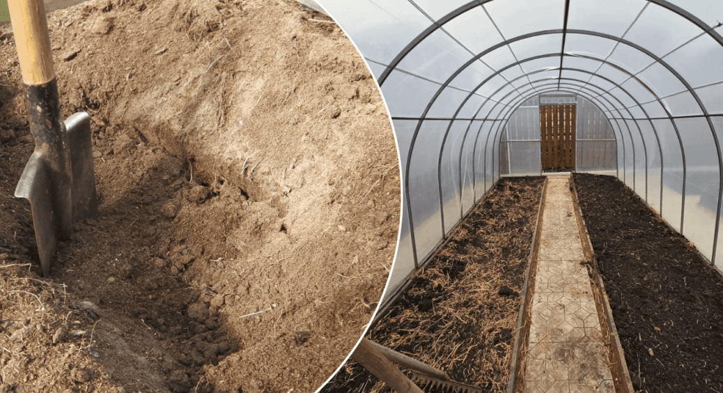 Сусіди викидають, а я збираю: цей базовий “мотлох” насправді – цінне золото для ґрунту на вашому городі 