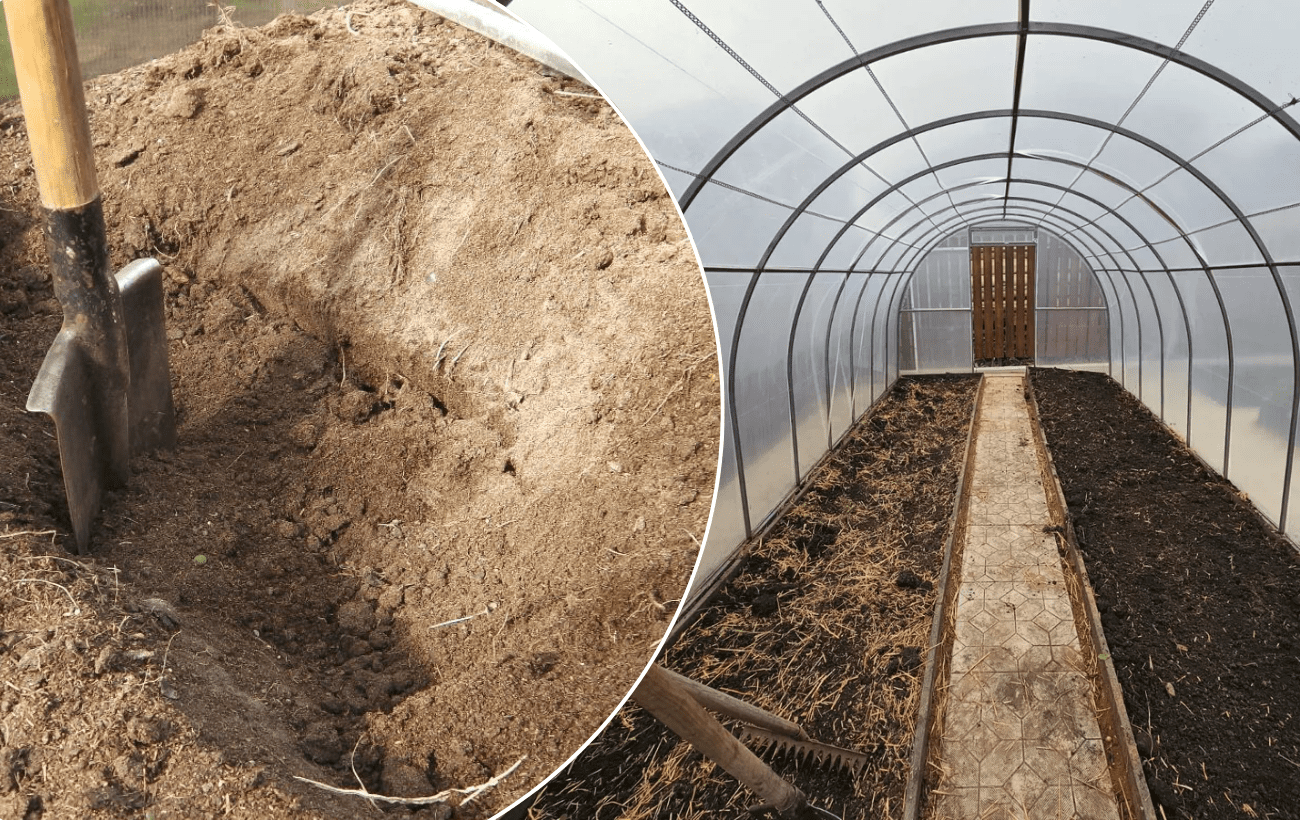 Удобрення ґрунту картопляним лушпинням