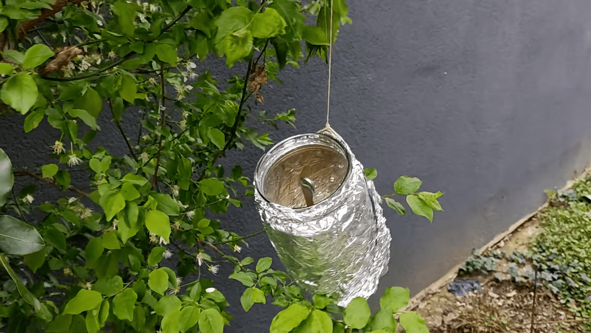 Як захистити сад від птахів і шкідників. Фото:YouTube/PRIRODNOZDRAVLJE