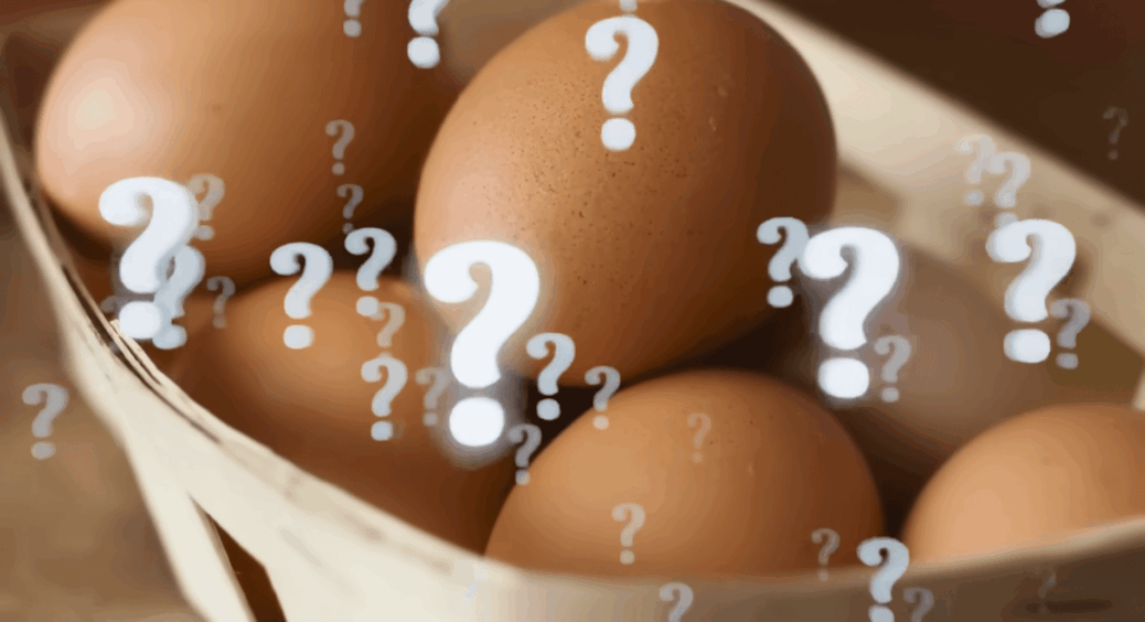 Продавці на ринку аж “сивіють”, коли я починаю перевіряти яйця: за 3 кроки можу перевірити, свіжі чи ні 