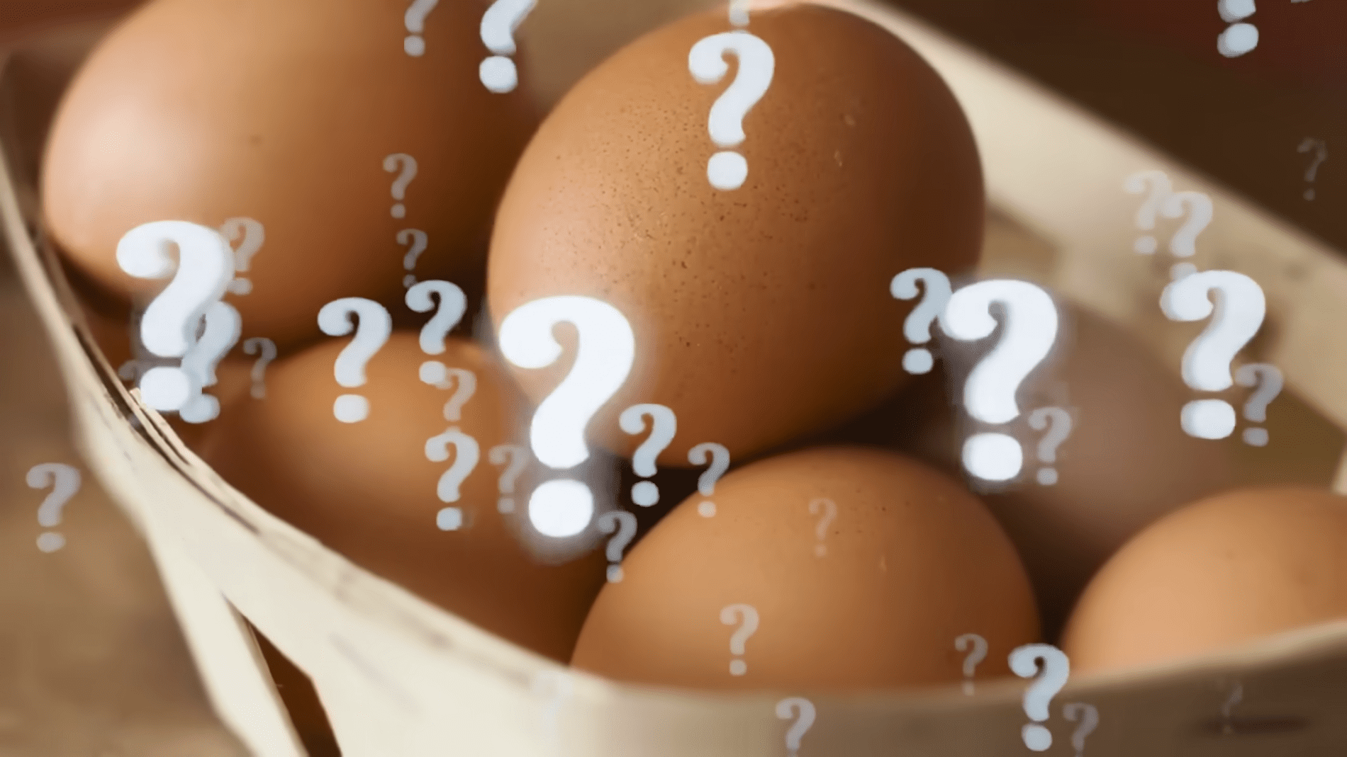 Експерти розповіли, які курячі яйця кращі – білі чи коричневі. Фото: YouTube/ Історія на тарілці