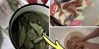 Господині розповіли, як привести до ладу кухонні рушники лавровим відваром 