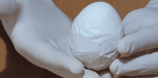 Експерти розповіли, чому кури несуть яйця з деформованою шкаралупою