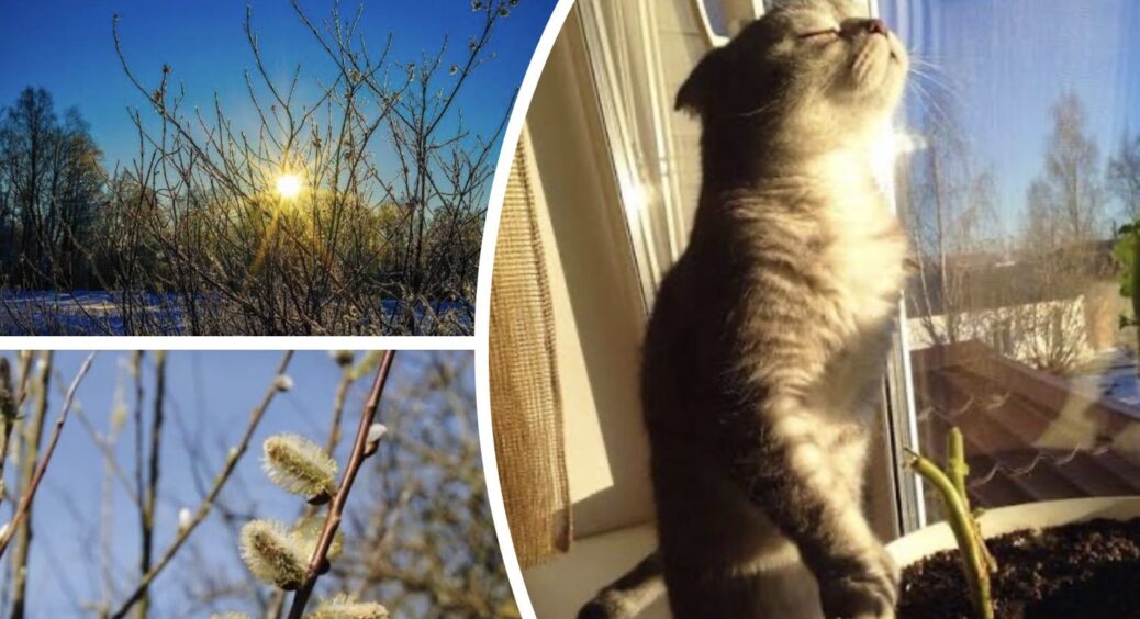 Потепління в Україні: чи не доведеться ще “померзнути”, і чи чекати стабільної температури до кінця березня 