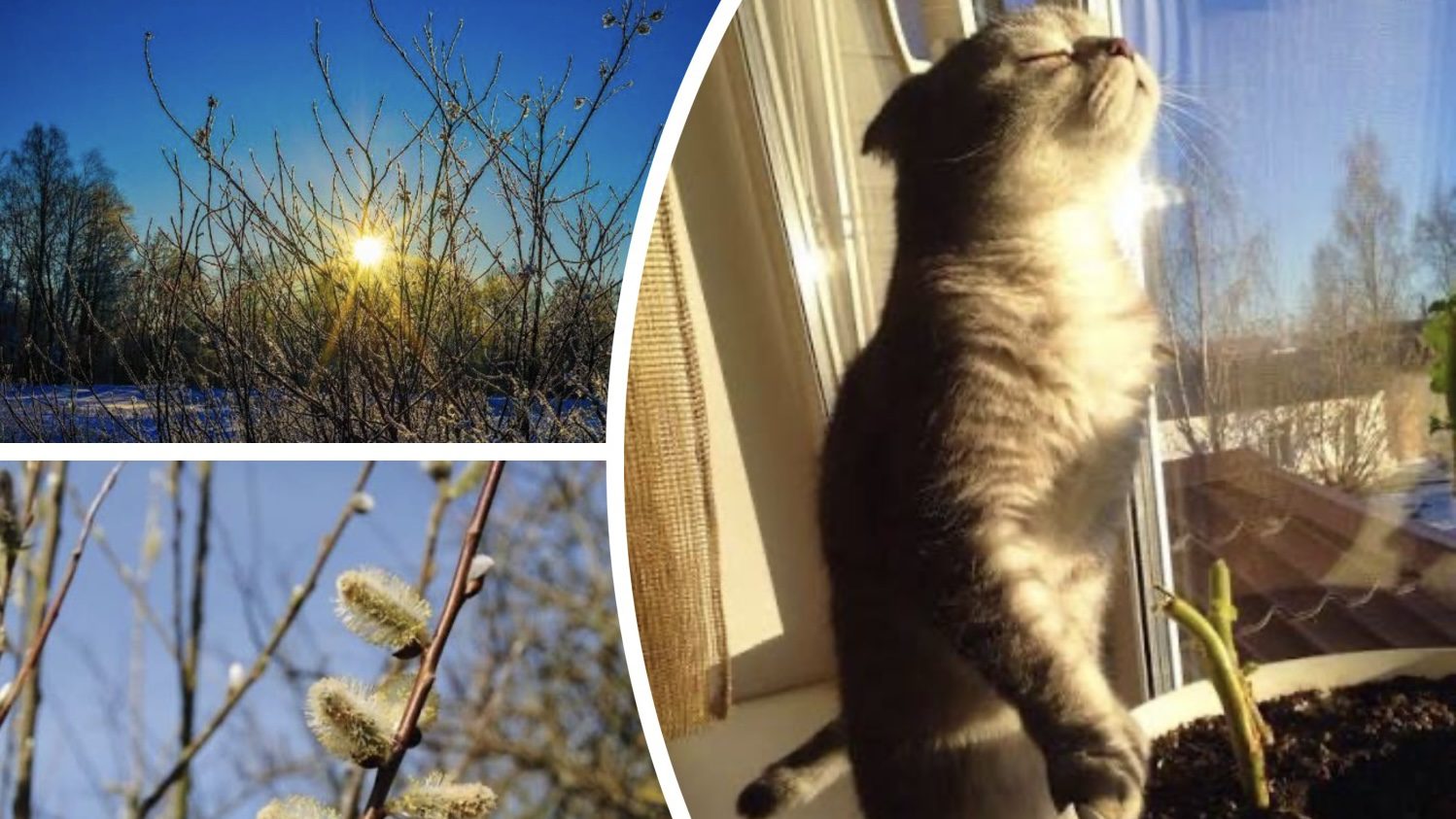 Синоптики розповіли, якою буде погода в Україні до кінця березня 