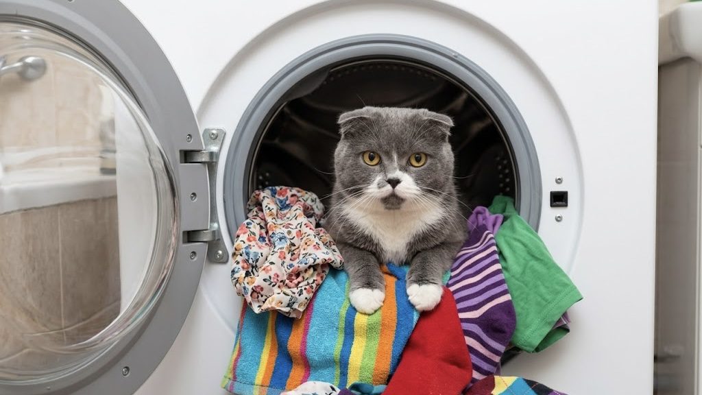 Сантехніки розповіли, чому не можна вмикати пральну машину два рази підряд 