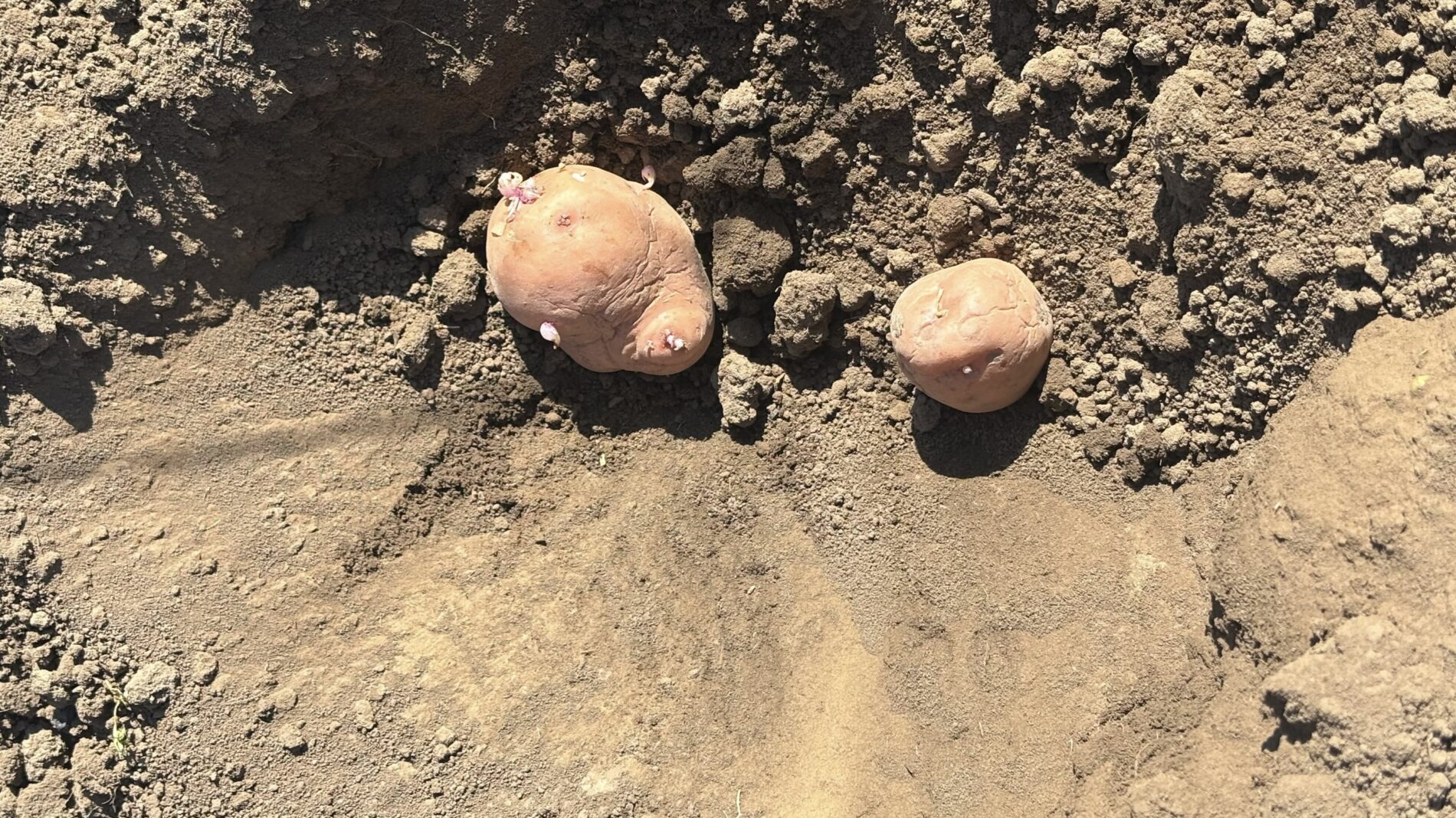 Фото: Добрі новини 