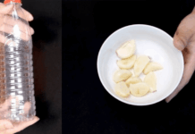 Жодної тертки і часникодавки: ось як я чищу і давлю часник за 1 хвилину – знадобиться лише пластикова пляшка Експерти розповіли цікавий кухонний лайфхак з пластиковою пляшкою