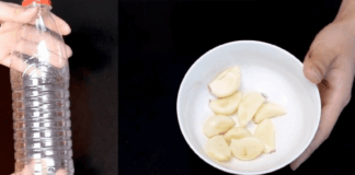 Експерти розповіли цікавий кухонний лайфхак з пластиковою пляшкою