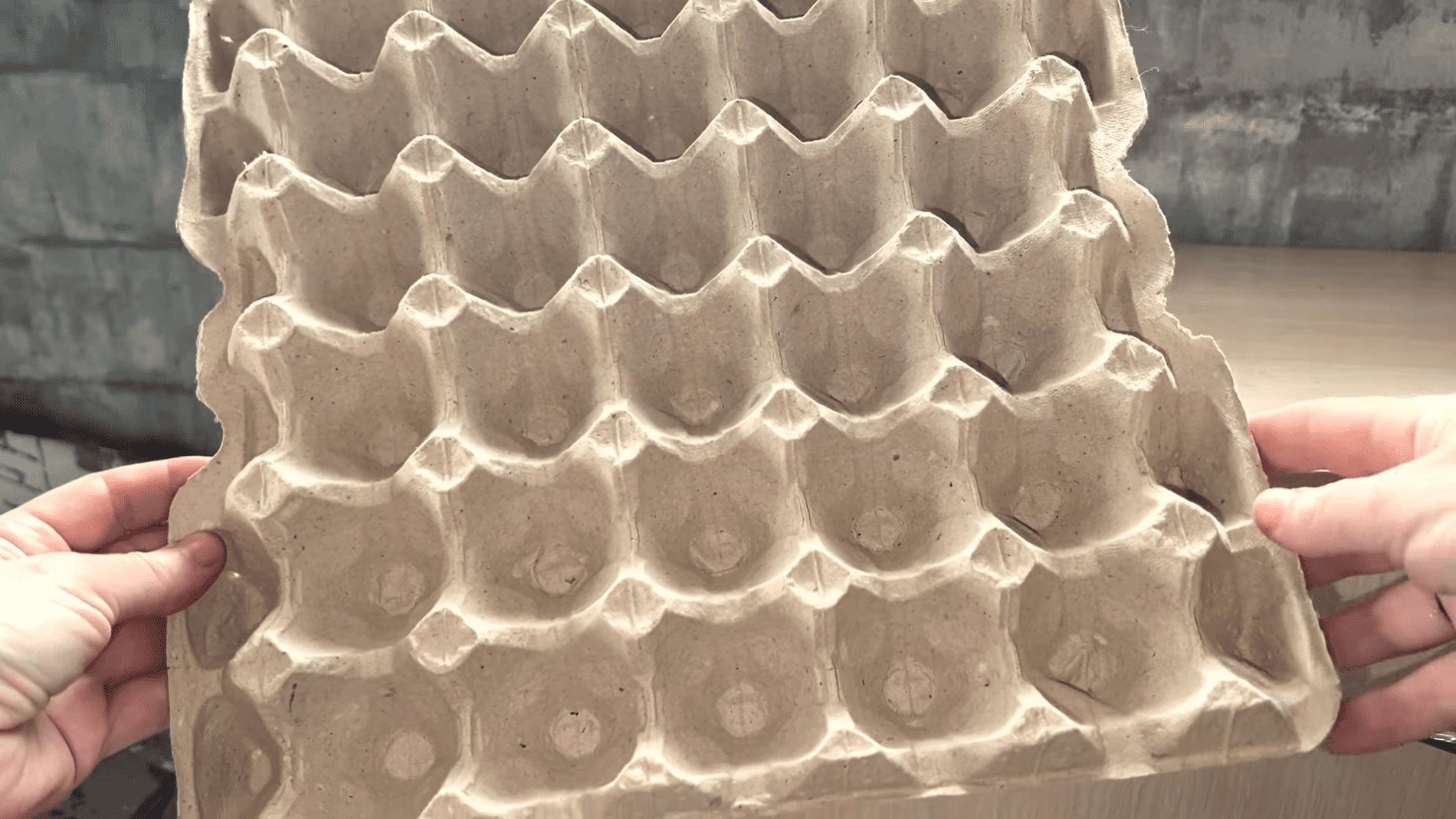 Городники розповіли, як використати лотки з-під яєць