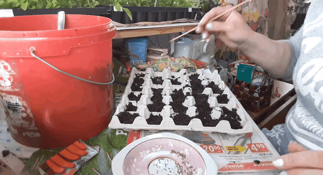 Кума гребе паперові лотки з-під яєць по 10 штук для моркви: здивована трюком – повторила і буду повторювати 