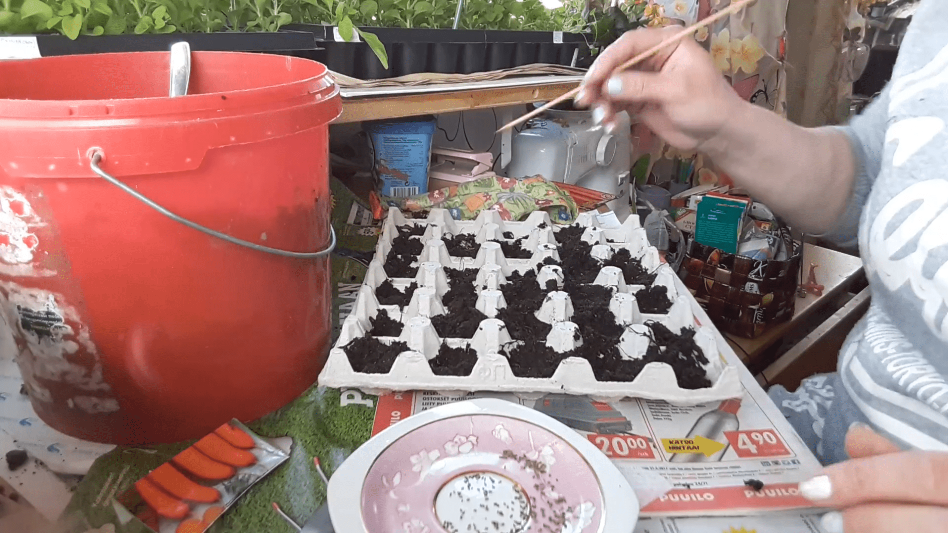 Городники розповіли про незвичайний спосіб посіву моркви