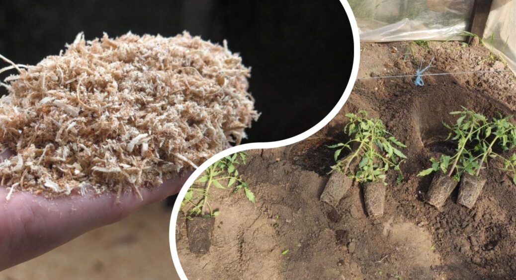 Беру 1 жменю правильної тирси – і коріння “відлітає” в рай: ферментоване “золото” для грядок 