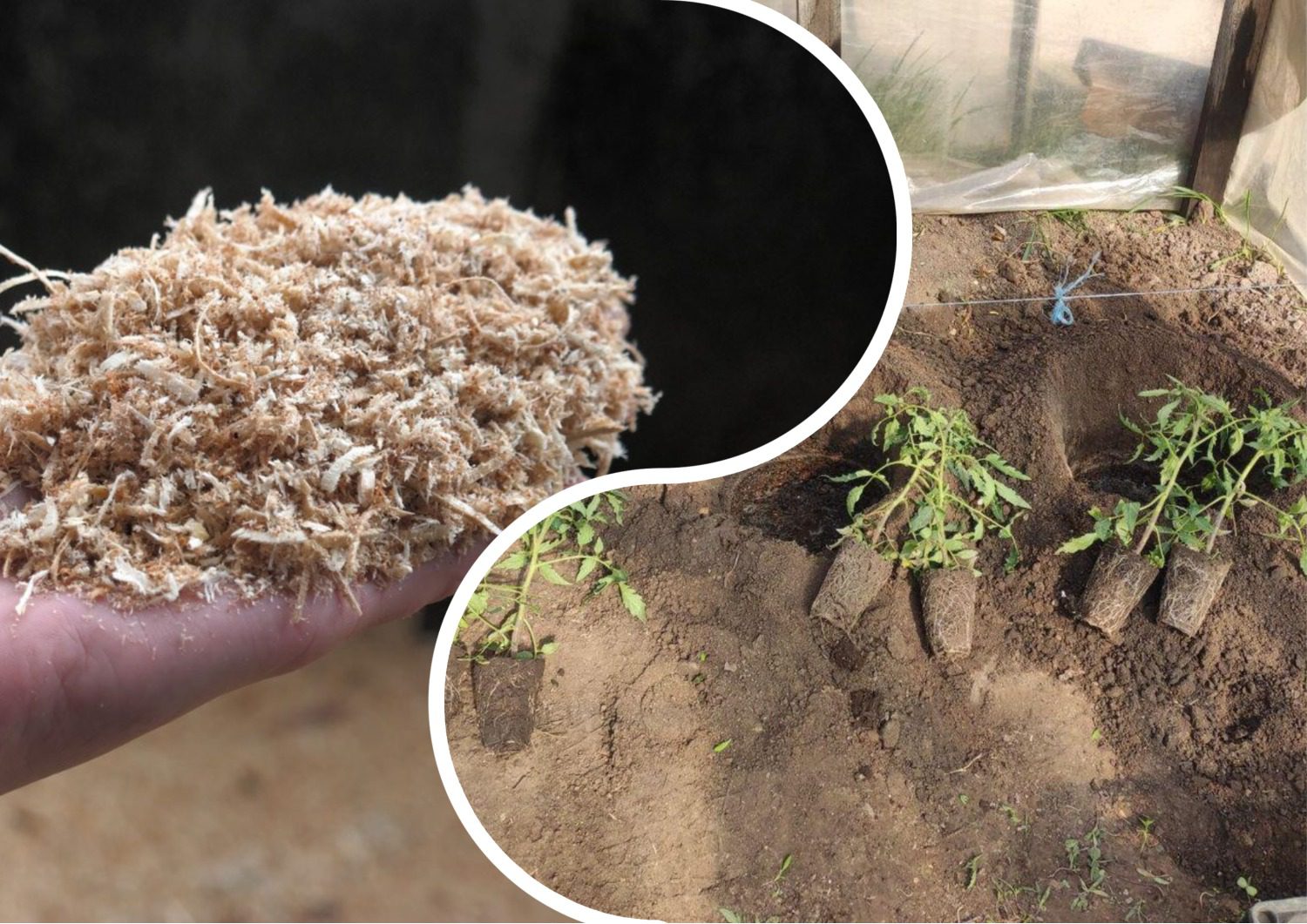 Городники розповіли, як зробити ферментовану тирсу для культур