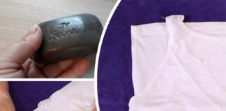 Господині розповіли про бюджетну альтернативу плямовивідника