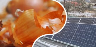Експерти розповіли, як за допомогою цибулевого лушпиння захистити сонячні панелі