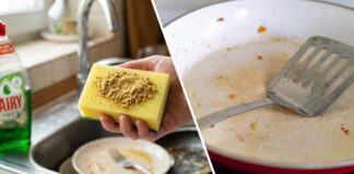 Господині розповіли, який продукт відмиє жирний посуд краще за покупний гель 