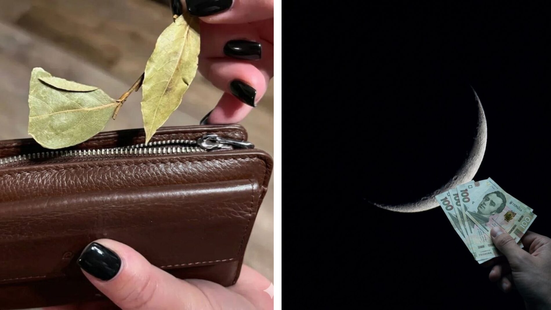 Господні розповіли, як звичайний лавровий лист допоможе збільшити статки 