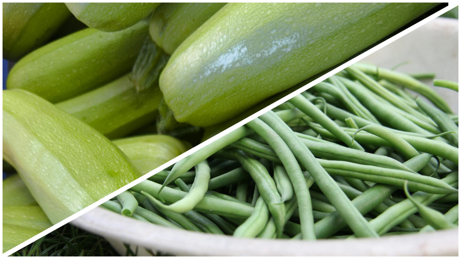 Городники розповіли, які овочі можна висадити вже у квітні. Фото: pexels 