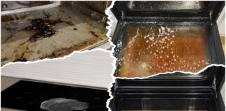 Господині назвали 3 найкращі магазинні засоби, щоб відмити духовку 