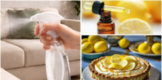 Господині розповіли, як зробити бюджетний ароматизатор для дому 