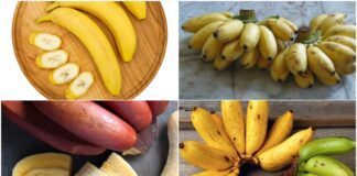 Продавці розповіли, чим бебі-банани відрізняються від звичайних 