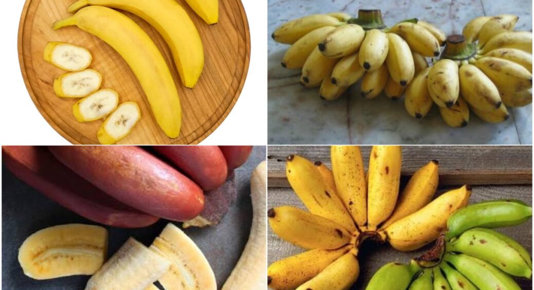 Відправила чоловіка по банани, так він приніс – бебі-банани: чим відрізняються від звичайних по 60 грн/кг 